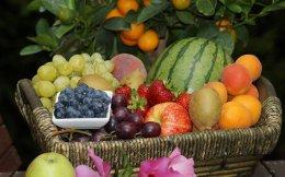 Indian Angel Network invests more in fresh produce startup