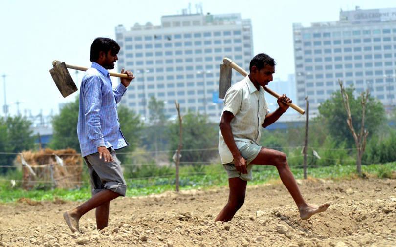 Policy Tracker: Have the Modi govt's plans to tackle farm distress come a cropper?