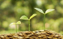 Lightspeed, Elevation Capital lead Series A funding in agritech startup Vegrow