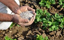 Zuari Ago sells fertiliser plant to Paradeep Phosphates
