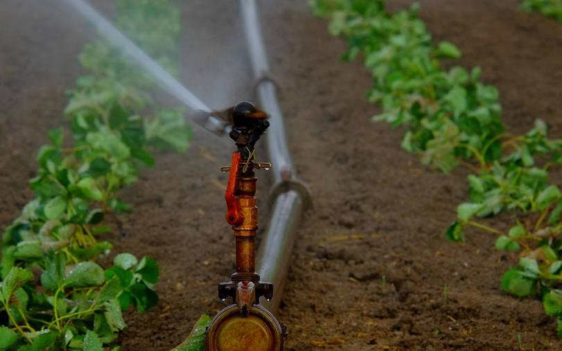 IFC proposes to invest in Indian unit of Israeli irrigation equipment maker
