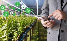 WayCool launches venture for tech solutions to food supply chains