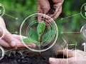 Budget 2023: FM proposes accelerator fund to promote agritech