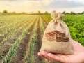How India's top agritech startups improved financials for FY22