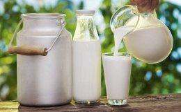 Dodla Dairy raises $21.3 mn from World Bank's IFC, others
