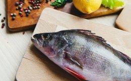 Accel leads Series A funding in seafood startup Captain Fresh