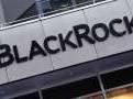 BlackRock reiterates it seeks ESG details from portfolio firms