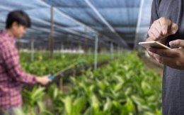 Ippopay, M2P Fintech founders, others back agri-tech startup Veg Route