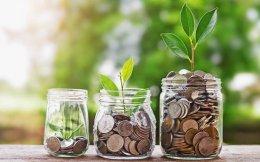 Hydroponics-focused startup Nutrifresh raises $5 mn in pre-seed round