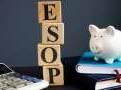Why startups are leaving Esop expenses out of Ebitda calculations