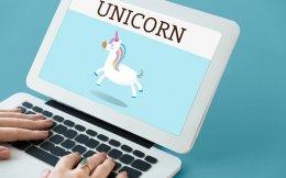 Unicorns stumble at the hurdles in 2022 after successful sprint run