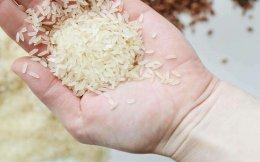 Adani Wilmar buys basmati rice brand Kohinoor