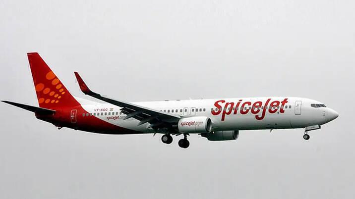 Partially operating SpiceJet gives shares to lessors to clear dues 