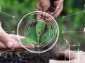 Agritech startups catch investors' fancy with one segment gaining the most
