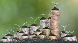 Early-stage startups Deep Rooted, Aye Finance, Univest raise funding