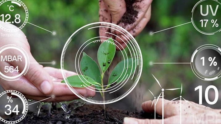 Agritech startups catch investors’ fancy with one segment gaining the most