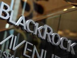 BlackRock's support for ESG themes declines further 
