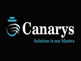 Canarys Expands Horizon: Proposes Acquisition to Strengthen Presence in North America