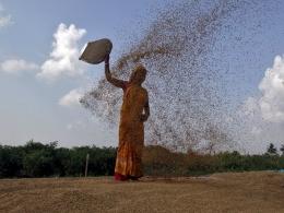 GIC-backed Leap India Food woos another offshore investor to fund expansion