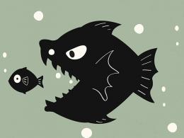 Indian chemical firms line up for CABB Chemicals' European unit