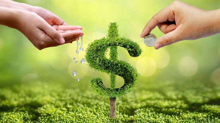 Botanic Healthcare raises maiden PE funding from Stakeboat, Abakkus