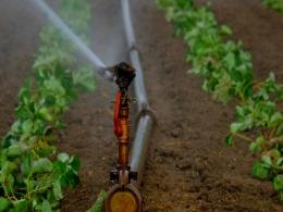 South African PE firm Sana Partners set to acquire irrigation equipment maker